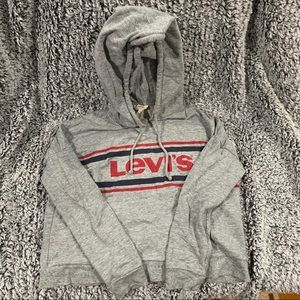 Levi’s Boxy Hoodie